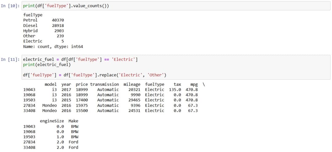 7. Handling Rare Instances in 'Fuel Type'